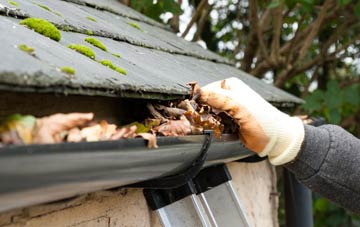 gutter cleaning Coldham