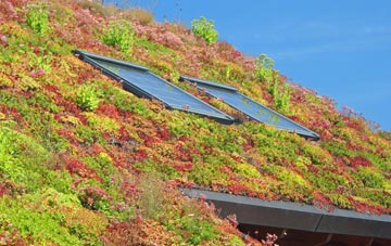 Coldham living roof systems